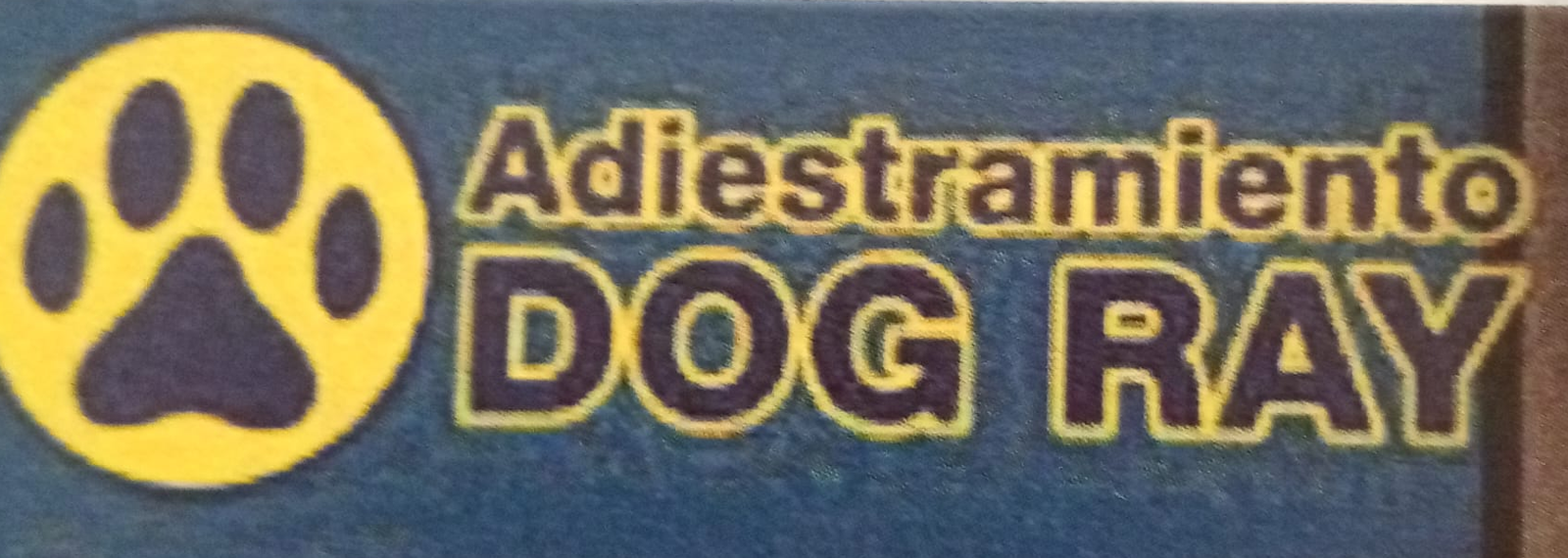 Adiestramiento Dog Ray — Adiestrador Canino